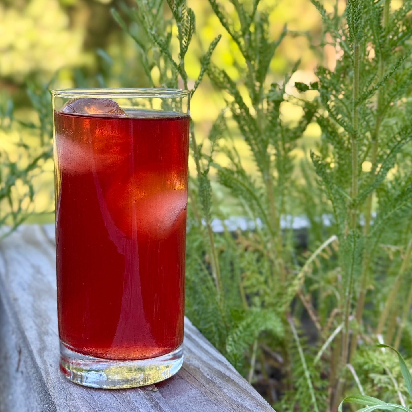 Strawberry Moonglow